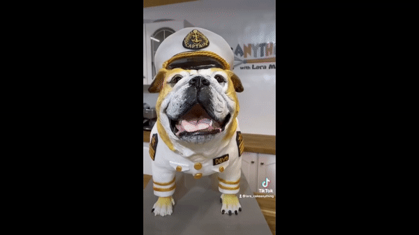 Play video again  Video title Next video.. Incredible UK baker makes amazing D... temp   UK baker makes INCREDIBLY realistic cake of bulldog for pets birthday